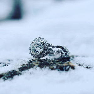 Meet your Posher, The lizabeth